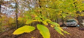 Enlarge photo 110