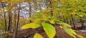 Enlarge photo 120