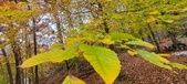 Enlarge photo 117
