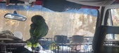 Enlarge photo 123
