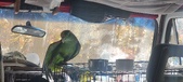Enlarge photo 116