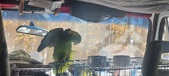 Enlarge photo 118