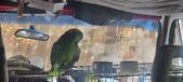 Enlarge photo 148