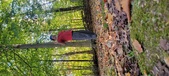 Enlarge photo 343