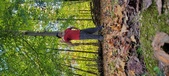 Enlarge photo 341