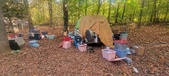 Enlarge photo 307