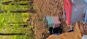 Enlarge photo 306
