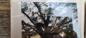Enlarge photo 277