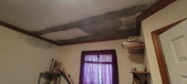 Enlarge photo 242