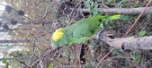 Enlarge photo 241