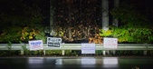 Enlarge photo 225