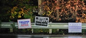 Enlarge photo 222