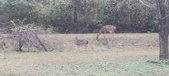 Enlarge photo 219