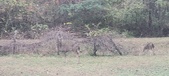 Enlarge photo 218