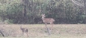 Enlarge photo 217