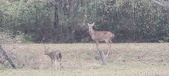 Enlarge photo 214
