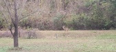 Enlarge photo 215