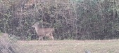 Enlarge photo 216