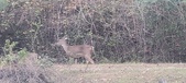 Enlarge photo 212