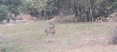 Enlarge photo 211