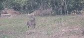 Enlarge photo 210