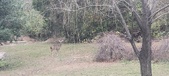 Enlarge photo 209