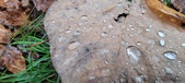 Enlarge photo 202