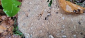 Enlarge photo 200