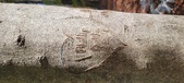 Enlarge photo 168