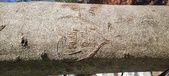 Enlarge photo 165