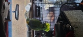 Enlarge photo 73