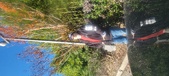 Enlarge photo 54