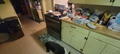 Enlarge photo 155