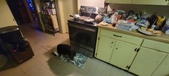Enlarge photo 154