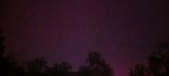 Enlarge photo 313