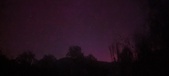 Enlarge photo 311