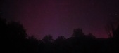 Enlarge photo 310
