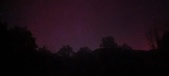 Enlarge photo 309