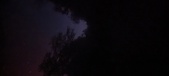 Enlarge photo 304