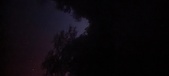 Enlarge photo 305