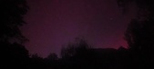 Enlarge photo 306