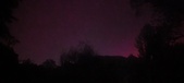Enlarge photo 307