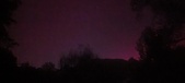 Enlarge photo 303