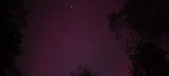 Enlarge photo 302