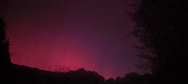 Enlarge photo 289