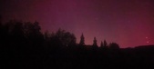Enlarge photo 273