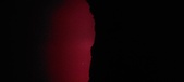 Enlarge photo 262