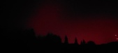 Enlarge photo 253