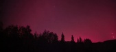 Enlarge photo 252