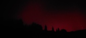 Enlarge photo 251
